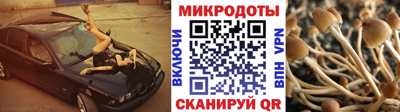Псилоцибиновые грибы ЛСД  Пустошка 